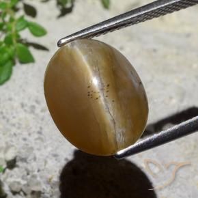 5.89 ct Brown Cat's Eye Opal Stone, Natural Cat's Eye Opal in Oval Cabochon Shape for Sale
