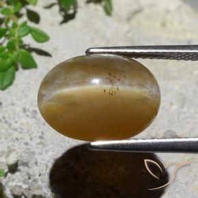 Cat's Eye Opal Gemstone in 13.7 x 10.5 mm Size for Sale, Cat's Eye Opal Stone in Medium Brown Color