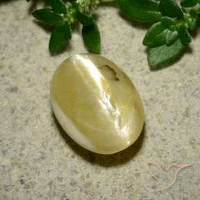 Cat's Eye Opal Gemstone in 11.4 x 8.1 mm Size for Sale, Cat's Eye Opal Stone in Cream Yellow Color