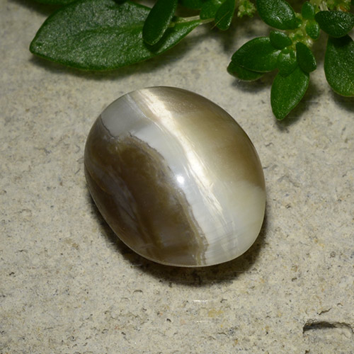 Very Light Brown Cat's Eye Opal Gem - 2.8ct Oval Cabochon (ID: 493513)