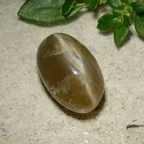 Opale Occhio di Gatto Ovale cabochon da 3,71 ct dal Madagascar, dimensione 11,5 x 7,2mm, purezza Translucent, pietra preziosa naturale non trattati, Opale Occhio di Gatto 1pc in colore Marrone caldo, durezza Mohs di 5,5 - 6,5, Photo A