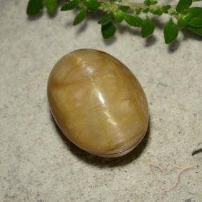 Cat's Eye Opal Gemstone in 12.3 x 9.2 mm Size for Sale, Cat's Eye Opal Stone in Golden Color