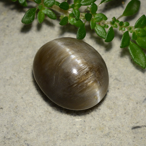 Opale Occhio di Gatto Ovale cabochon da 5,13 ct dal Madagascar, dimensione 12,6 x 10,5mm, purezza Opaque, pietra preziosa naturale non trattati, Opale Occhio di Gatto 1pc in colore Cedar Brown, durezza Mohs di 5,5 - 6,5, Photo A