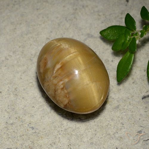 Opale Occhio di Gatto dorato taglio ovale da 4,57 ct dal Madagascar, dimensione 12,2 x 9mm, pietra preziosa naturale non trattati , purezza Opaque, Opale Occhio di Gatto Ovale cabochon da 1 pz, durezza Mohs di 5,5 - 6,5, Photo A