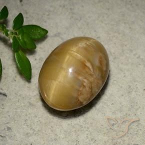 4.57 ct Golden Cat's Eye Opal Stone, Natural Cat's Eye Opal in Oval Cabochon Shape for Sale