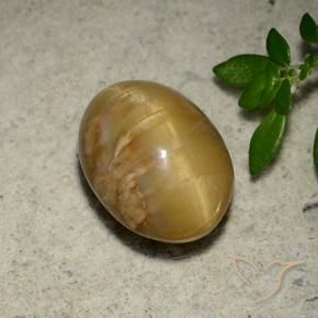 Cat's Eye Opal Gemstone in 12.2 x 9 mm Size for Sale, Cat's Eye Opal Stone in Medium Gold Color
