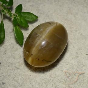 4.65 ct Brown Cat's Eye Opal Stone, Natural Cat's Eye Opal in Oval Cabochon Shape for Sale