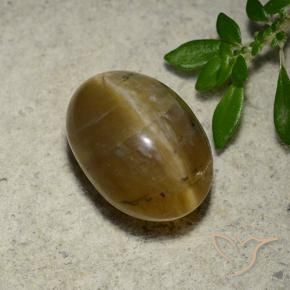 Cat's Eye Opal Gemstone in 12.1 x 8.6 mm Size for Sale, Cat's Eye Opal Stone in Golden Brown Color