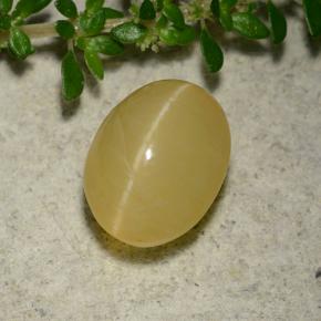 3.2ct Oval Cabochon Yellow Cat's Eye Opal Gem for sale 3.2ct Oval Cabochon Yellow Cat's Eye Opal Gem (ID: 493537)