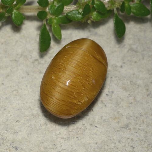 Warm Brown Cat's Eye Opal Gem - 2ct Oval Cabochon (ID: 493540)