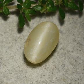 Brownish Yellow Cat's Eye Opal Gem - 1.7ct Oval Cabochon (ID: 493542)