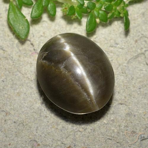 5.71 ct Brown Cat's Eye Opal Stone, Natural Cat's Eye Opal in Oval Cabochon Shape for Sale