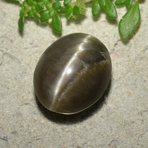 Cat's Eye Opal Gemstone in 12.6 x 10.3 mm Size for Sale, Cat's Eye Opal Stone in Umber Brown Color