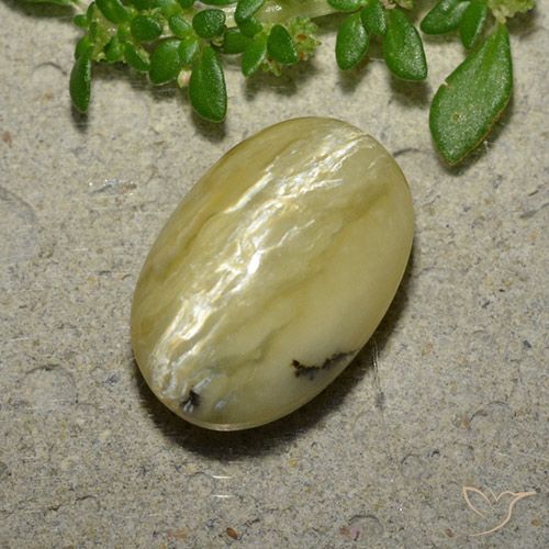 Opale œil de chat Jaune oval cabochon 13,5 x 9mm de Madagascar, poids de 5,04 ct, pierre gemme naturelle Non traité de pureté Opaque , 1 pièce Opale œil de chat, couleur : Jaune banane, dureté de Mohs de 5.5 à 6.5, Photo A