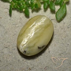 Cat's Eye Opal Gemstone in 14 x 9 mm (calibrated) Size for Sale, Cat's Eye Opal Stone in Banana Yellow Color