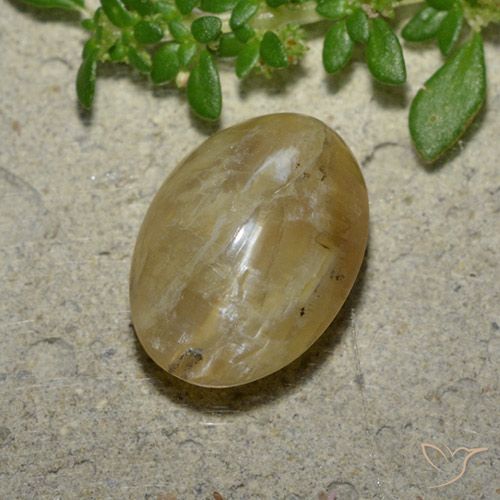 4,13 ct ovaler goldener Katzenaugenopal aus Madagaskar, Größe 12,6 x 9,1mm, Garantiert natürlicher Edelstein, Translucent Reinheit, 1 Stück Katzenaugenopal in Hell Gold-braun Farbe, Mohs-Härte von 5,5 - 6,5, Photo A
