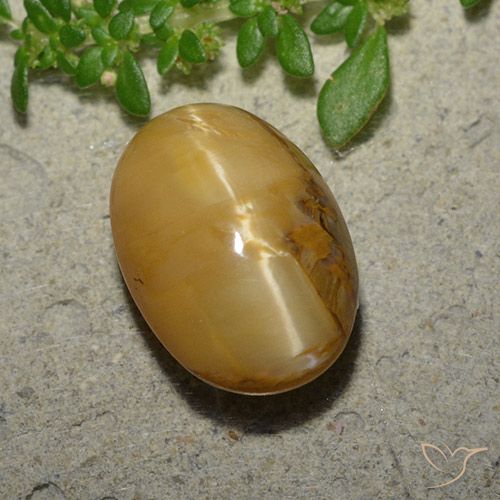 Opale œil de chat Doré oval cabochon 14,1 x 9,9mm de Madagascar, poids de 6,31 ct, pierre gemme naturelle Non traité de pureté Opaque , 1 pièce Opale œil de chat, couleur : Brun doré, dureté de Mohs de 5.5 à 6.5, Photo A