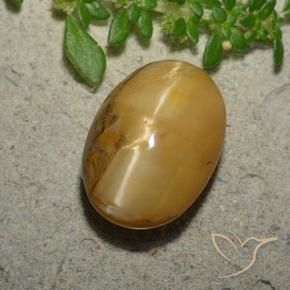 6.31 ct Golden Cat's Eye Opal Stone, Natural Cat's Eye Opal in Oval Cabochon Shape for Sale