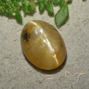 Cat's Eye Opal Gemstone in 12.5 x 9.5 mm Size for Sale, Cat's Eye Opal Stone in Golden-Orange Color