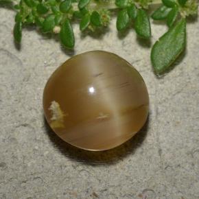 4.6ct Round Cabochon Brown Cat's Eye Opal Gem for sale 4.6ct Round Cabochon Brown Cat's Eye Opal Gem (ID: 494017)