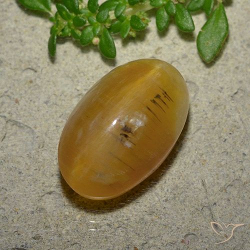 Opale Occhio di Gatto Ovale cabochon da 7,03 ct dal Madagascar, dimensione 15,3 x 9,3mm, purezza Translucent, pietra preziosa naturale non trattati, Opale Occhio di Gatto 1pc in colore Marrone dorato, durezza Mohs di 5,5 - 6,5, Photo A