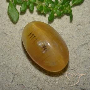 7.03 ct Golden Cat's Eye Opal Stone, Natural Cat's Eye Opal in Oval Cabochon Shape for Sale
