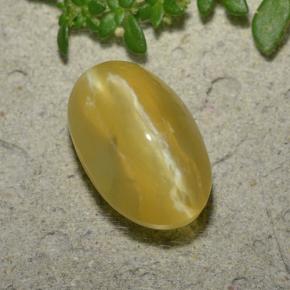 5.2ct Oval Cabochon Honey Yellow Cat's Eye Opal Gem for sale 5.2ct Oval Cabochon Honey Yellow Cat's Eye Opal Gem (ID: 494020)