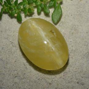 Pale Yellow Опал Кошачий Глаз Камень - 8.8ct Овал Кабошон (ID: 494021)