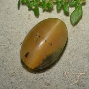 Cat's Eye Opal Gemstone in 15 x 10 mm (calibrated) Size for Sale, Cat's Eye Opal Stone in Golden-Brown Color