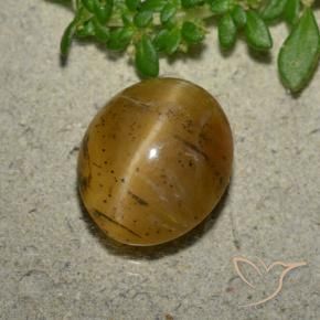 Cat's Eye Opal Gemstone in 12 x 10 mm (calibrated) Size for Sale, Cat's Eye Opal Stone in Golden-Brown Color