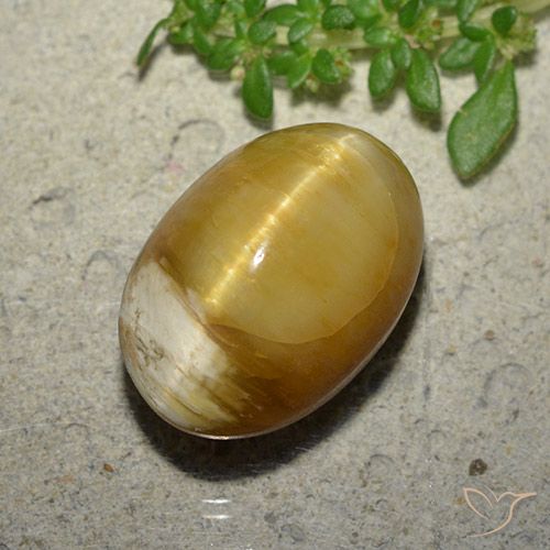 10.46ct Natural Golden Cat's Eye Opal, Oval, Opaque