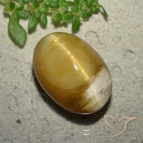 10.46 ct Golden Cat's Eye Opal Stone, Natural Cat's Eye Opal in Oval Cabochon Shape for Sale
