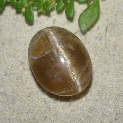 Opale œil de chat Brun oval cabochon 3,53 ct de Madagascar, dimension 12 x 9,1mm, pierre gemme naturelle Non traité, pureté Translucide, 1 pièce Opale œil de chat de couleur Brun café, dureté Mohs de 5.5 à 6.5, Photo A