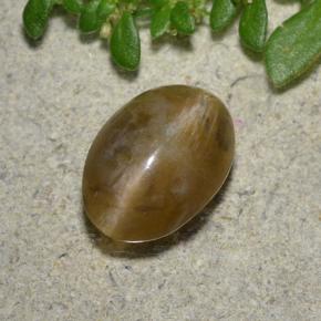1.5ct Oval Cabochon Brown Cat's Eye Opal for sale thumb image of 1.5ct Oval Cabochon Brown Cat's Eye Opal (ID: 494032)