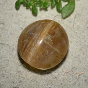 Cat's Eye Opal Gemstone in 13.8 x 12.7 mm Size for Sale, Cat's Eye Opal Stone in Earthy Brown Color