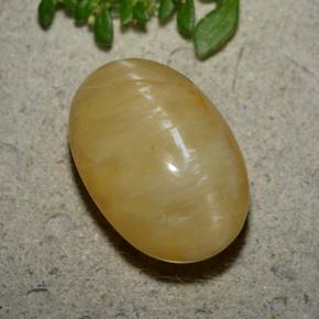 11.4ct Oval Cabochon Honey Yellow Cat's Eye Opal for sale thumb image of 11.4ct Oval Cabochon Honey Yellow Cat's Eye Opal (ID: 494034)