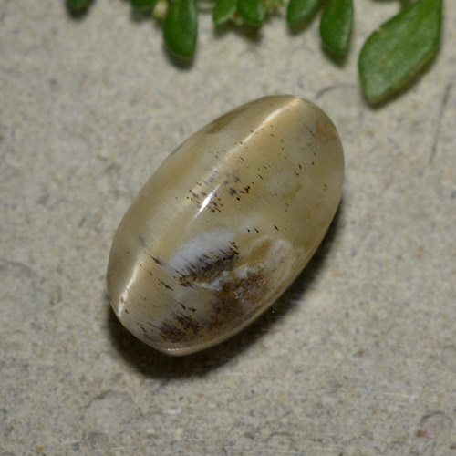 Golden Brown Cat's Eye Opal Gem - 4.1ct Oval Cabochon (ID: 494035)
