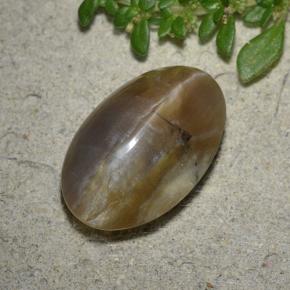4.9ct Oval Cabochon Brown Cat's Eye Opal Gem for sale 4.9ct Oval Cabochon Brown Cat's Eye Opal Gem (ID: 494036)