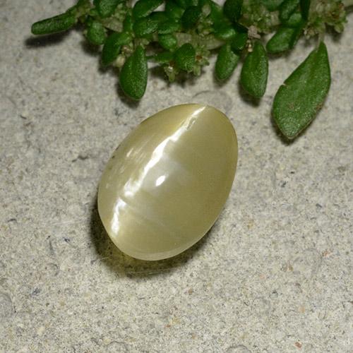 2.2ct Oval Cabochon Greenish Yellow Cat's Eye Opal for sale thumb image of 2.2ct Oval Cabochon Greenish Yellow Cat's Eye Opal (ID: 494115)