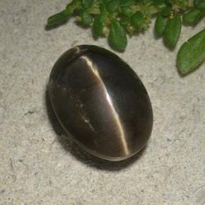 4.2ct Oval Cabochon Brown Cat's Eye Opal for sale thumb image of 4.2ct Oval Cabochon Brown Cat's Eye Opal (ID: 494123)