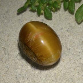 3.9ct Oval Cabochon Brown Cat's Eye Opal for sale thumb image of 3.9ct Oval Cabochon Brown Cat's Eye Opal (ID: 494124)