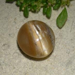 3.4ct Oval Cabochon Brown Cat's Eye Opal for sale thumb image of 3.4ct Oval Cabochon Brown Cat's Eye Opal (ID: 494126)