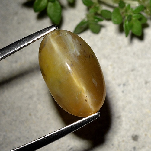 Opale Occhio di Gatto Ovale cabochon da 7,25 ct dal Madagascar, dimensione 14,9 x 9,3mm, purezza Translucent, pietra preziosa naturale non trattati, Opale Occhio di Gatto 1pc in colore Marrone dorato, durezza Mohs di 5,5 - 6,5, Photo A