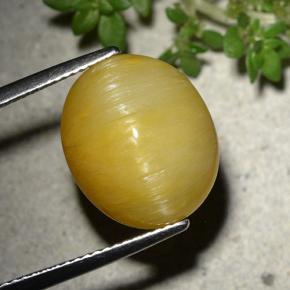 Goldenrod Yellow Cat's Eye Opal Edelstein - 10.5ct Oval Cabochon (ID: 494140)