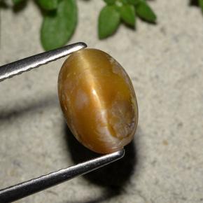 2.3ct Oval Cabochon Brown Cat's Eye Opal for sale thumb image of 2.3ct Oval Cabochon Brown Cat's Eye Opal (ID: 494482)