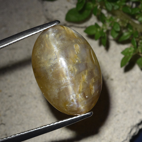 Золотисто-коричневый Опал Кошачий Глаз Камень - 10.7ct Овал Кабошон (ID: 494492)