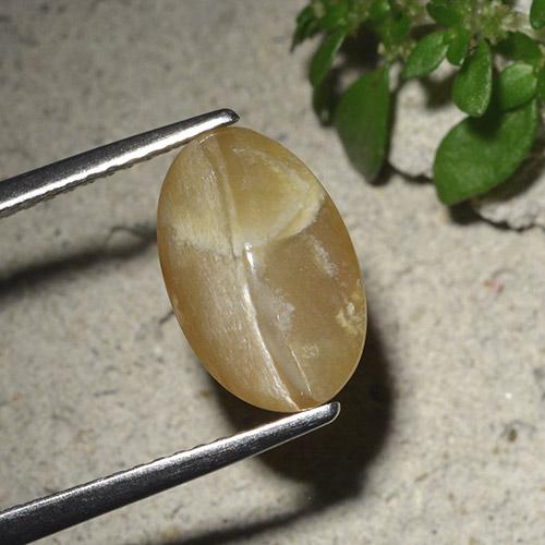 Marron clair Opale œil de chat gemme - 2.9ct Ovale Cabochon (ID: 494497)