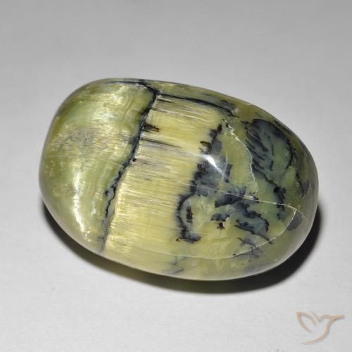 21.84 ct Green Cat's Eye Opal Stone, Natural Cat's Eye Opal in Oval Cabochon Shape for Sale