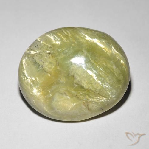 9.84ct Natural Warm Forest Green Cat's Eye Opal, Oval, Opaque