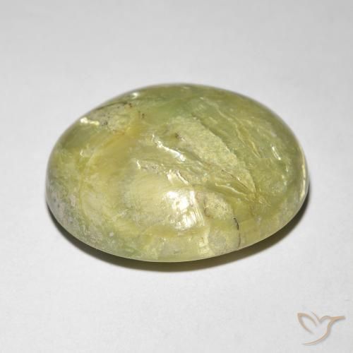 Cat's Eye Opal Gemstone in 18.2 x 15.4 mm Size for Sale, Cat's Eye Opal Stone in Warm Forest Green Color